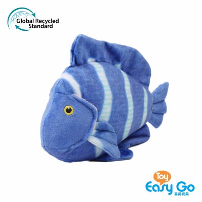 Baby Wolf-Ocean Budies-ECO acanthurus coeruleus,20cm L